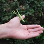 Catalyst High School